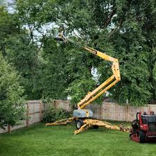 Lawn Grading and Leveling in Fruitland, MD